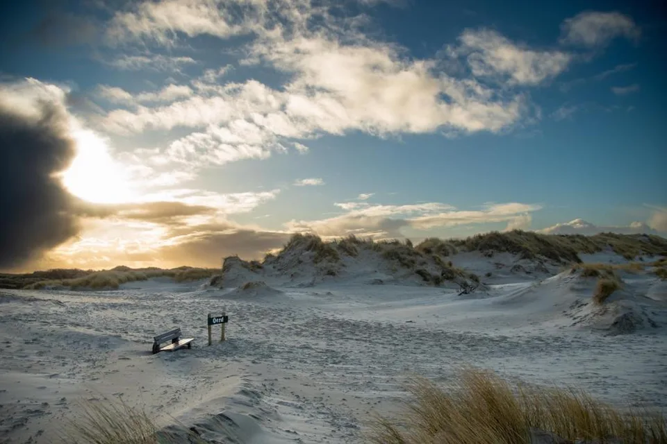 Bankje bij de duinen van Het Oerd