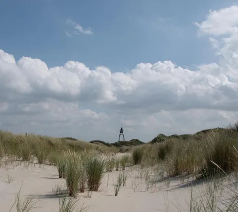 Duinen met helmgras en baken
