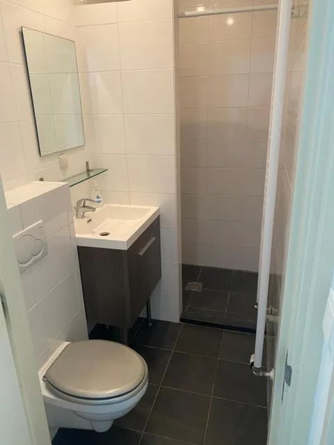 Badkamer met inloopdouche, toilet en wastafel