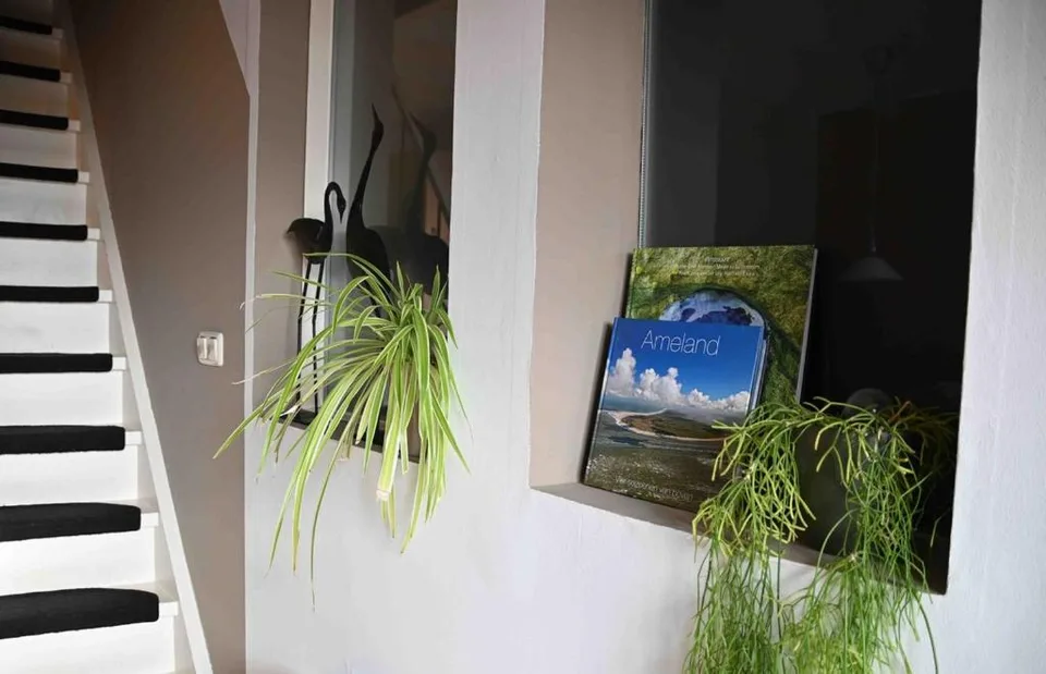 Trapopgang met planten en eilandboeken